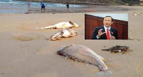 Shop TIN 25/4:Khởi tố vụ án phá hoại Lễ khởi công Dự án du lịch tại Quảng Bình - ảnh 15