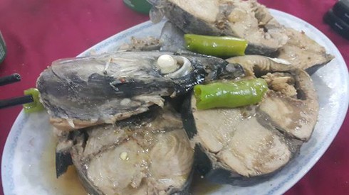 Shop TIN 1/5: Chúng tôi đón thuyền, mua và ăn cá biển tại cảng Nhật Lệ-Đồng Hới - ảnh 11