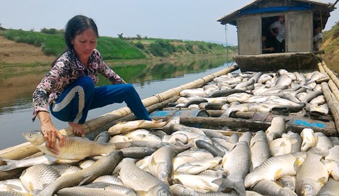 Shop TIN 9/5:Sau 4 ngày kiểm tra, 7 Bộ đã rời Formosa - Khởi tố vụ án cá chết... - ảnh 8