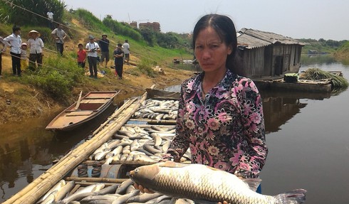 Shop TIN 9/5:Sau 4 ngày kiểm tra, 7 Bộ đã rời Formosa - Khởi tố vụ án cá chết... - ảnh 11