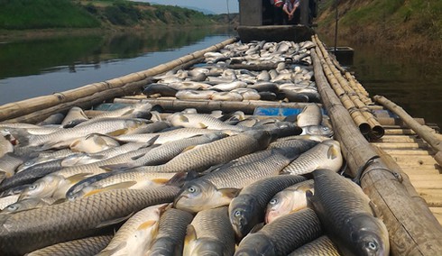 Shop TIN 9/5:Sau 4 ngày kiểm tra, 7 Bộ đã rời Formosa - Khởi tố vụ án cá chết... - ảnh 9