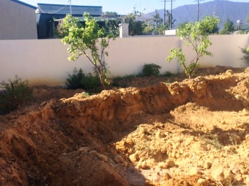 Shop TIN 17/7: Hà Tĩnh - Bài học lớn về môi trường từ Dự án của Formosa - ảnh 3