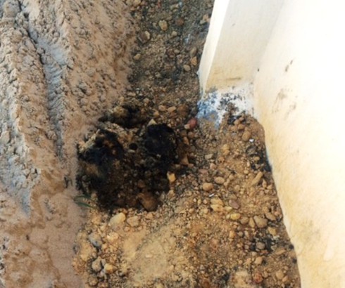 Shop TIN 17/7: Hà Tĩnh - Bài học lớn về môi trường từ Dự án của Formosa - ảnh 2