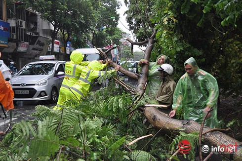 Shop TIN 29/7: HÃY BIẾT CÁCH LẮC ĐẦU - ảnh 24