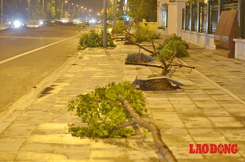 Shop TIN 30/7: Formosa là một quả bom môi trường nằm kề, ai cũng lo lắng. - ảnh 9