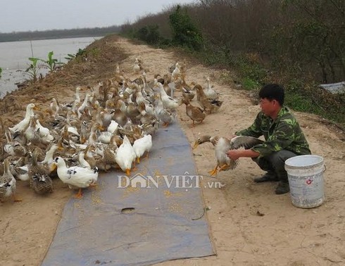 Shop TIN 1/8: PHẢI XEM XÉT KHỞI TỐ LÃNH ĐẠO VỤ
