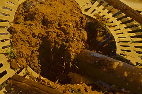 Shop TIN 1/8: PHẢI XEM XÉT KHỞI TỐ LÃNH ĐẠO VỤ