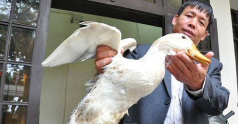 Shop TIN 1/8: PHẢI XEM XÉT KHỞI TỐ LÃNH ĐẠO VỤ