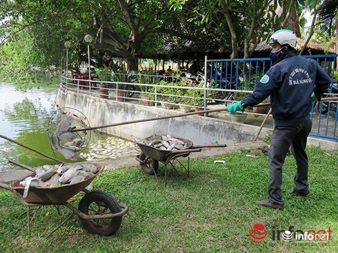 Shop TIN 2/8: NHỮNG NGÀY THƯỜNG ĐÃ CHÁY LÊN - ảnh 19