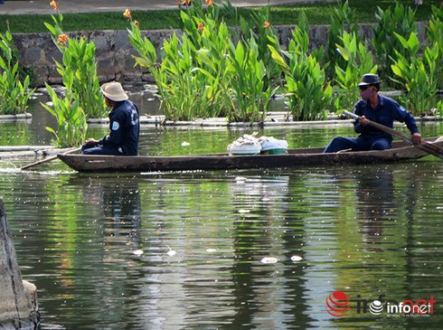 Shop TIN 2/8: NHỮNG NGÀY THƯỜNG ĐÃ CHÁY LÊN - ảnh 18