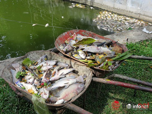 Shop TIN 2/8: NHỮNG NGÀY THƯỜNG ĐÃ CHÁY LÊN - ảnh 20