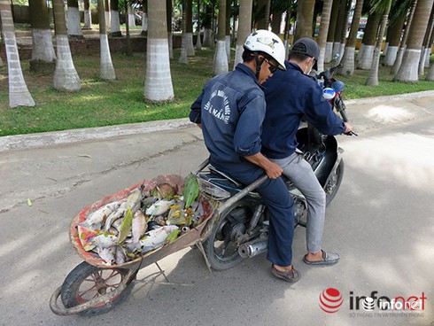 Shop TIN 2/8: NHỮNG NGÀY THƯỜNG ĐÃ CHÁY LÊN - ảnh 21