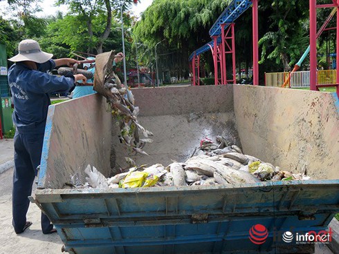 Shop TIN 2/8: NHỮNG NGÀY THƯỜNG ĐÃ CHÁY LÊN - ảnh 22