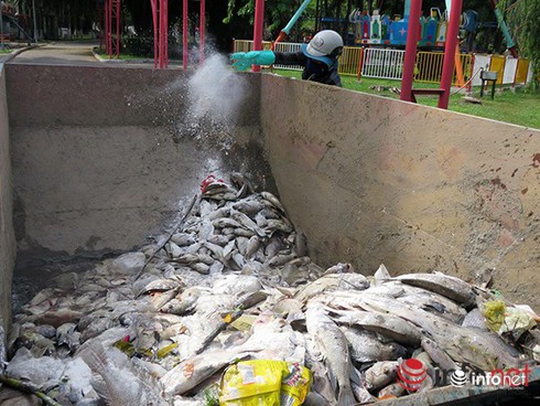 Shop TIN 2/8: NHỮNG NGÀY THƯỜNG ĐÃ CHÁY LÊN - ảnh 23