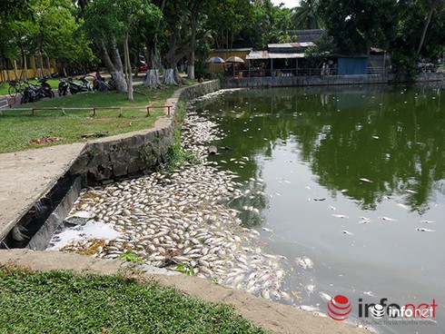 Shop TIN 2/8: NHỮNG NGÀY THƯỜNG ĐÃ CHÁY LÊN - ảnh 11