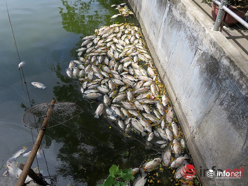 Shop TIN 2/8: NHỮNG NGÀY THƯỜNG ĐÃ CHÁY LÊN - ảnh 12