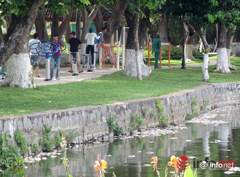 Shop TIN 2/8: NHỮNG NGÀY THƯỜNG ĐÃ CHÁY LÊN - ảnh 13