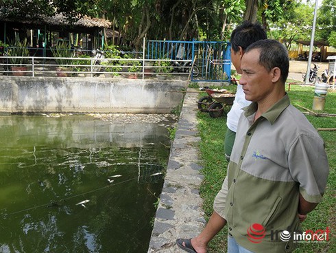 Shop TIN 2/8: NHỮNG NGÀY THƯỜNG ĐÃ CHÁY LÊN - ảnh 14