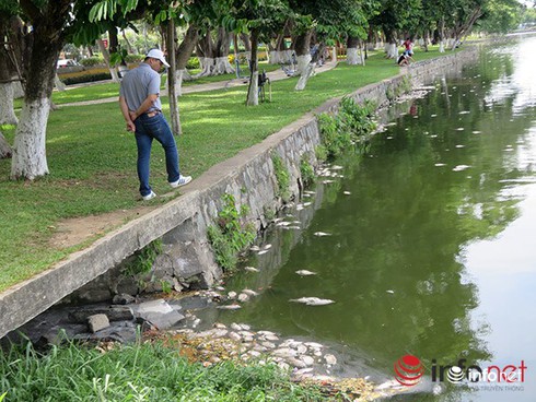 Shop TIN 2/8: NHỮNG NGÀY THƯỜNG ĐÃ CHÁY LÊN - ảnh 15