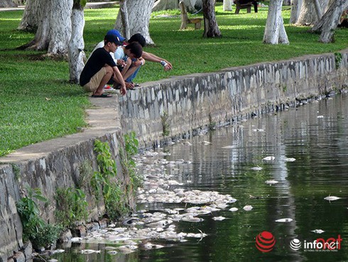 Shop TIN 2/8: NHỮNG NGÀY THƯỜNG ĐÃ CHÁY LÊN - ảnh 16