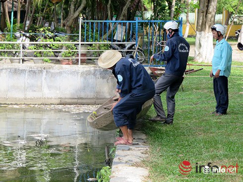 Shop TIN 2/8: NHỮNG NGÀY THƯỜNG ĐÃ CHÁY LÊN - ảnh 17