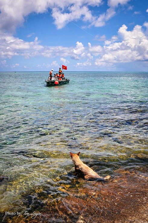 Shop TIN 14/8: CHÚNG TA THU THUẾ ĐỂ LÀM GÌ? - ảnh 11