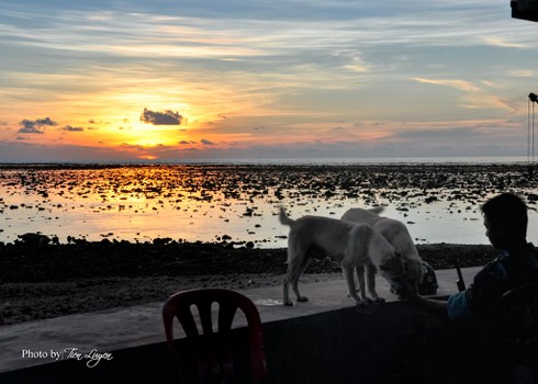 Shop TIN 14/8: CHÚNG TA THU THUẾ ĐỂ LÀM GÌ? - ảnh 13