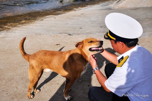 Shop TIN 14/8: CHÚNG TA THU THUẾ ĐỂ LÀM GÌ? - ảnh 14