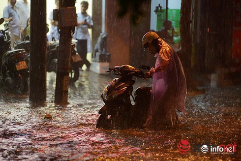 Shop TIN 19/8: Khởi tố vụ án giết người tại trụ sở Tỉnh ủy Yên Bái - ảnh 4