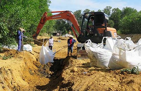 Shop TIN 23/8: Cá biển miền Trung đã ăn được chưa? - ảnh 6