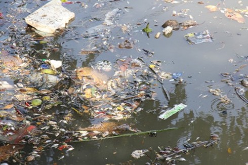 Shop TIN 23/8: Cá biển miền Trung đã ăn được chưa? - ảnh 3