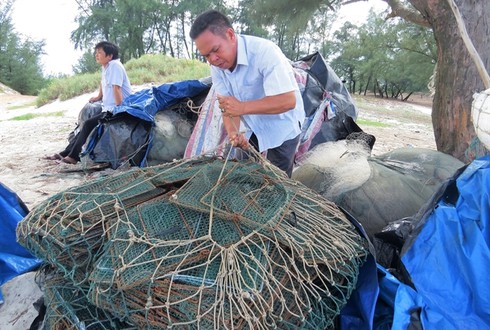 Shop TIN 25/8: Cá biển miền Trung chưa ăn được! - ảnh 3