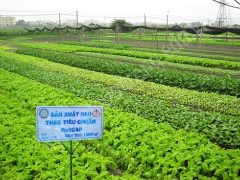 Shop TIN 25/8: Cá biển miền Trung chưa ăn được! - ảnh 5