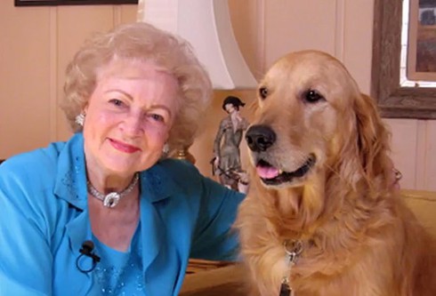 Gia tài kếch sù của những chú chó giàu nhất hành tinh - ảnh 4