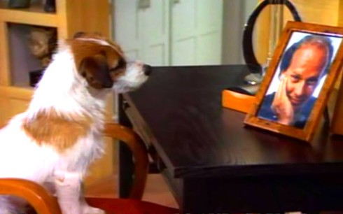 Gia tài kếch sù của những chú chó giàu nhất hành tinh - ảnh 5