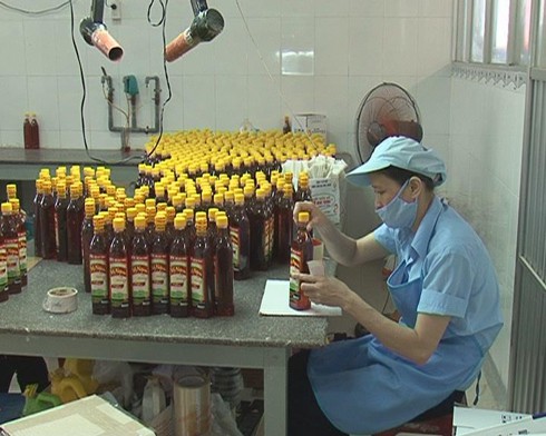 8 tháng, cả nước có thêm 52.000 doanh nghiệp mới - ảnh 1