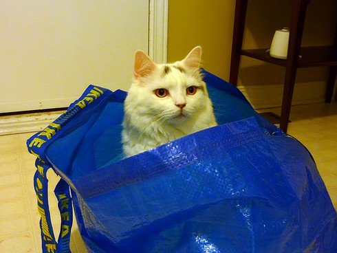 Những chuyện cực vui về IKEA mà nhiều người không biết - ảnh 1