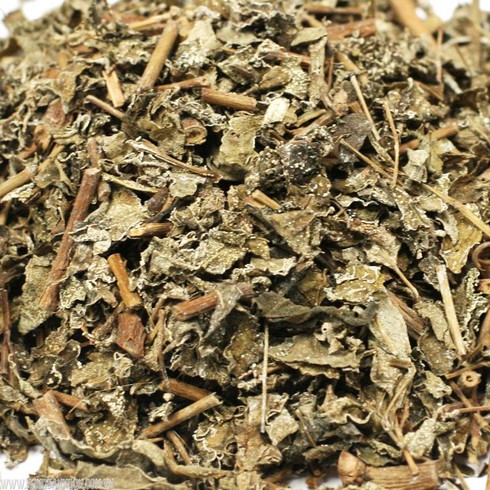 Tử vong vì suy gan nặng sau khi uống chè dây trôi nổi - ảnh 1