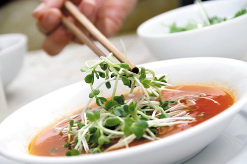 Rau mầm: Liệu có an toàn? - ảnh 1