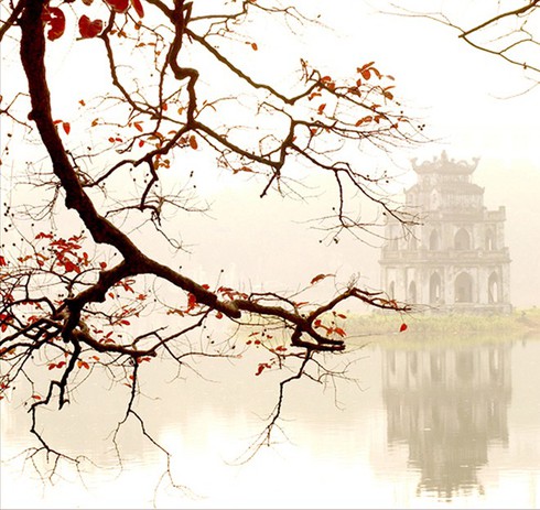 Shop TIN 20/1: Khát vọng Thái Bình còn mãi dù rùa già đã chết - ảnh 2