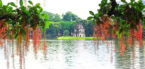 Shop TIN 20/1: Khát vọng Thái Bình còn mãi dù rùa già đã chết - ảnh 3