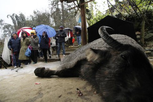 Shop TIN 25/1: Thủ tướng chúc các nhà báo