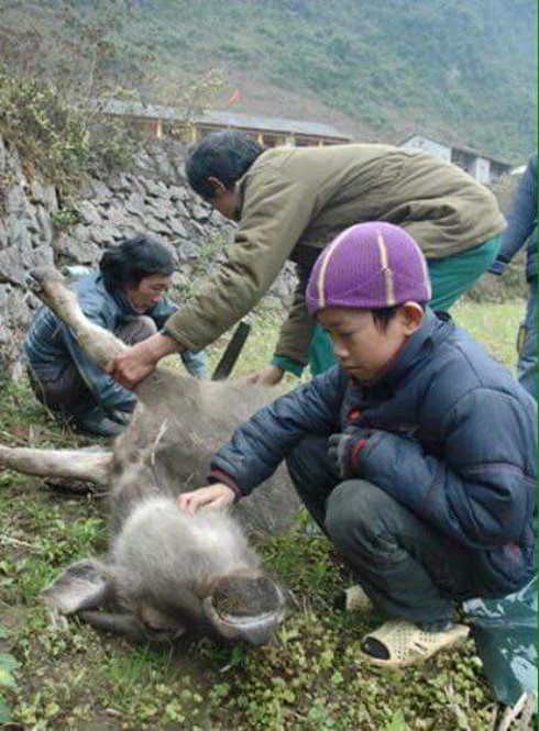 Shop TIN 25/1: Thủ tướng chúc các nhà báo