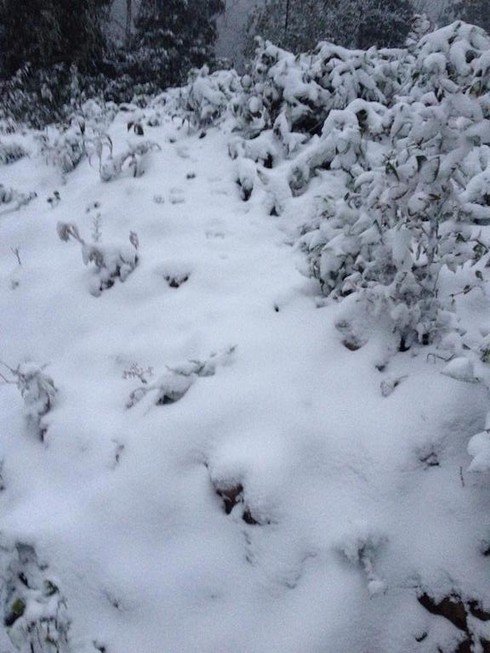 Shop TIN 25/1: Thủ tướng chúc các nhà báo