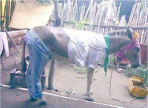 Shop TIN 26/1: Nếu tôi làm Thủ tướng... - ảnh 12