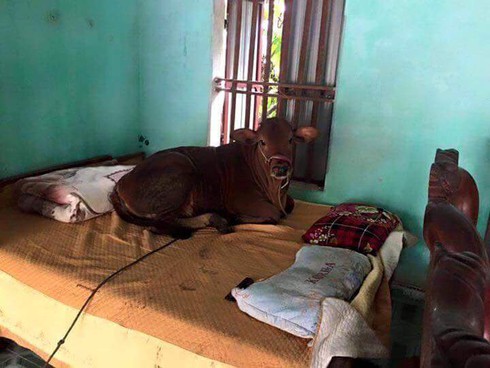 Shop TIN 26/1: Nếu tôi làm Thủ tướng... - ảnh 10