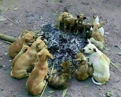 Shop TIN 26/1: Nếu tôi làm Thủ tướng... - ảnh 13