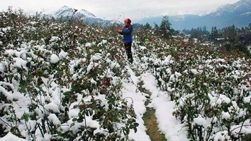 Shop TIN 26/1: Nếu tôi làm Thủ tướng... - ảnh 5