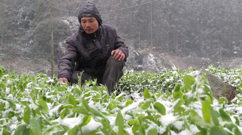 Shop TIN 26/1: Nếu tôi làm Thủ tướng... - ảnh 6