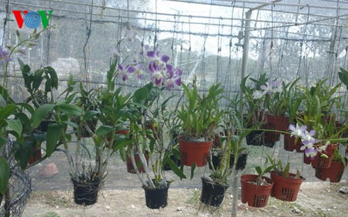 Shop TIN 30/1: Đến chưa chắc đã tới - ảnh 9